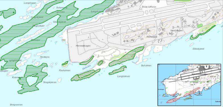 På bakgrunnen av kartleggingen, ble det registrert 8 frskjellige lkaliteter sm er betegnet sm viktige naturtyper (høyre utklipp i figur 12).