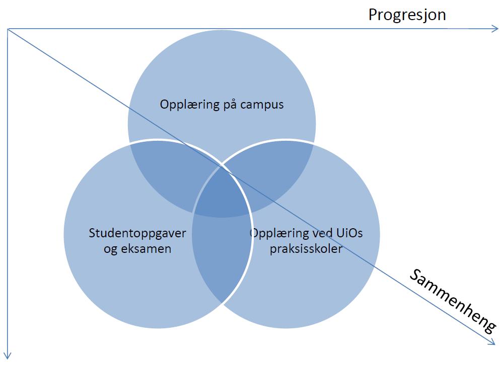 Visjon for nytt studiedesign Det skal være en klar sammenheng mellom teoriopplæring, praksisopplæring og opplæring via innleveringer og oppgaver Det skal