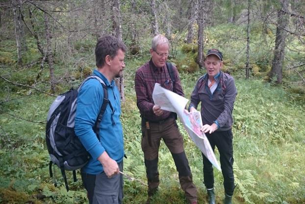 Allskog under MIS registrering i Velfjord (Foto: Jan Jenssen ) Kortreist tømmer fra 102 år gammelt skogreisingsfelt hogd i lia bak fjøsen er