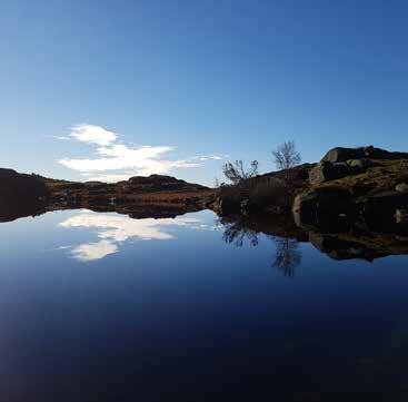 Her har du kort vei til flott turterreng på Njåfjellet!