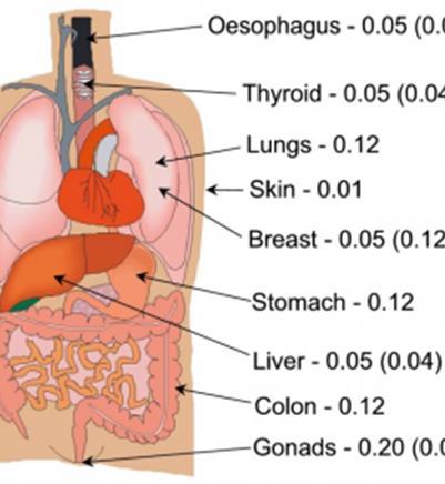 Effektiv dose Ulike organer blir ulikt eller delvis eksponert Måles i Sievert