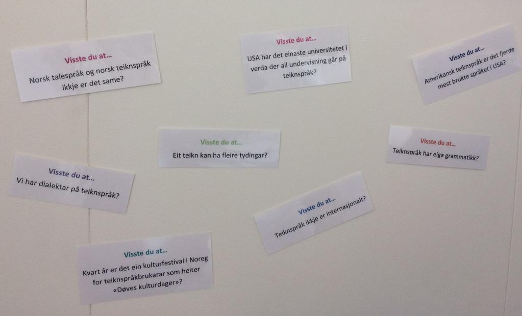 Innhold Rolle og funksjon i valperioden 2015 2019... 2 Arbeidsplan 2016 2019... 3 Aktivitetsåret 2017... 3 Deltaking i andre råd, utval, kurs og konferansar.