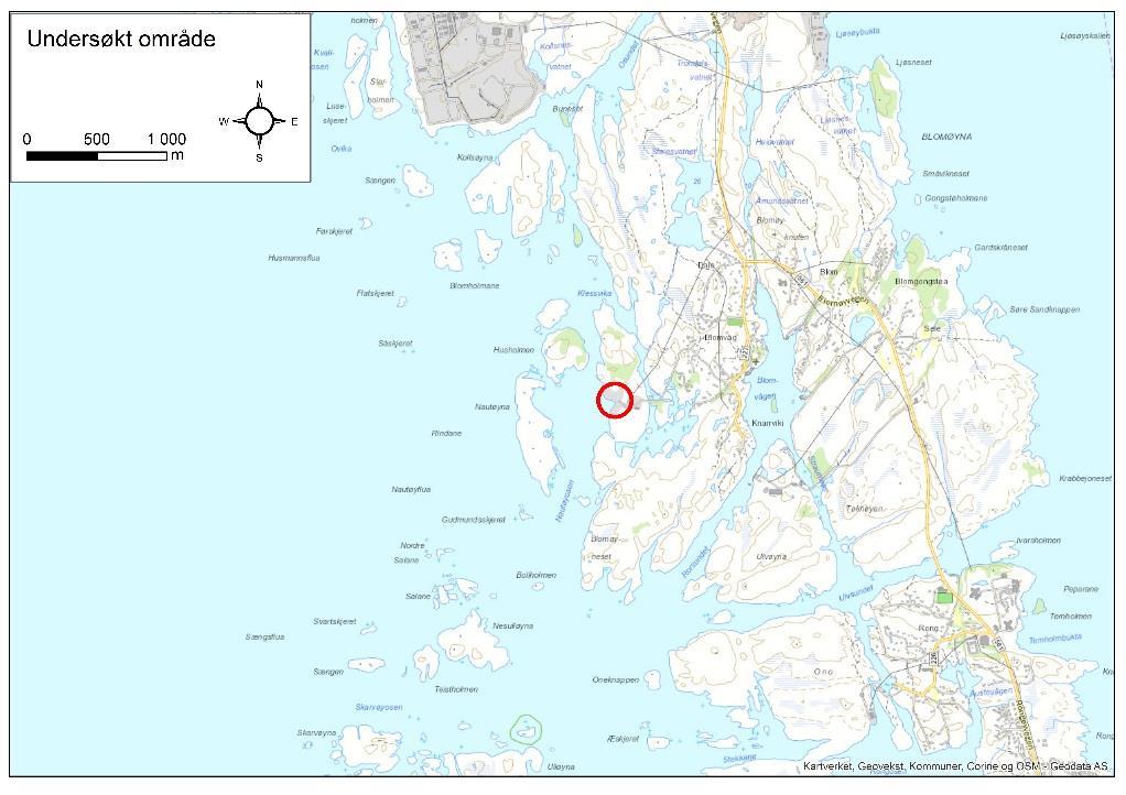 6/23 Det undersøkte området Eikeilen industri område ligger vest for Blomvågen i Øygarden kommune (Figur 1) og inkluderer deler av GNR/BNR 41/126, GNR/BNR 41/150 og 41/187.