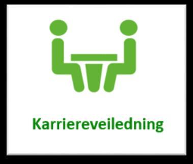 Karriereveiledning er en samtale mellom veisøker og profesjonell veileder om karriererelaterte spørsmål og utfordringer. 616 personer har vært til karriereveiledning hos oss i 2017.