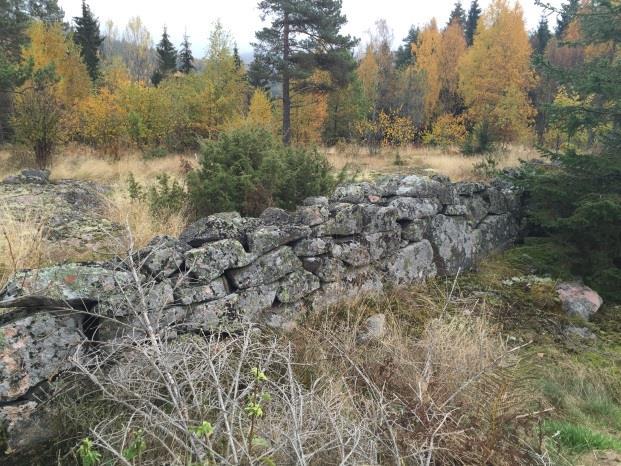 ved lysning nedenfor Fjellsveien 41 Tverrslagsområdet