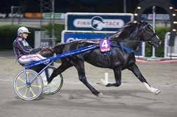 Øystein Tjomsland Spor 10: Alma Prins / Jomar Blekkan Eier: Kolbjørn Selmer, Trondheim Oppdr: Jæren Hingst AS & Arild Knutsen Kleppe Trener: Jomar Blekkan Deltagere i Biri Oppdretningsløp 2018 blir