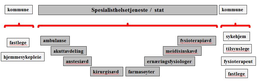 Helhetlig pasientforløp hjem til hjem