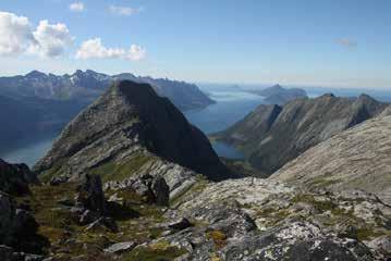 Det er positivt at investorer utenfra nå skal bygge nye forretninger og boliger og gjør forbedringer i handelssenteret på Ørnes, men jeg mener vi mangler en god nok strategi på hvordan regionsenteret