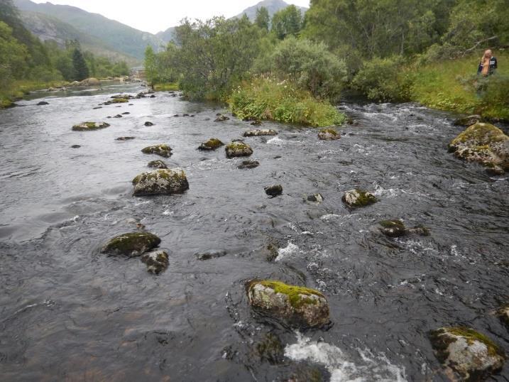 Ferskvannsbiologen Rapport 1-5 Den eneste elve-/bekkestrekningen rundt Svolværvatnet som er egnet eller tilgjengelig for fisk fra innsjøen er utløpselva, Strandelva.