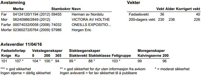 Nummer 11 Aberdeen Angus Ørenummer/navn: 5087 Vivi av Holthe Født: 26/02/15 Forventet kalving: 04/04/17 Bedekt med: 74061 Jens av Grani Stambokførbar, selger tar ansvar for at dyret blir stambokført