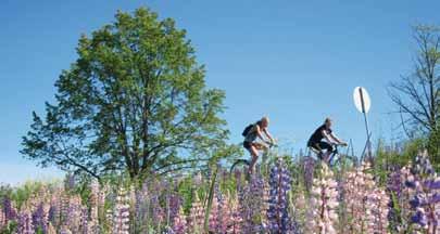 Boka blir utgitt på forlaget Tom&Tom som tidligere har utgitt en rekke natur- og kulturbøker fra Buskerud. Boka har deadline primo august 2013 og vil komme ut seinere på høsten.