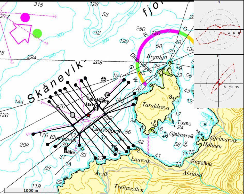 I området utanfor lokaliteten er det vèl 270 m djupt, og via ein terskel på ca 219 m djup kjem ein ut på djup over 300 m (figur 2).