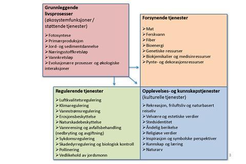 eksempel innen landbruk, hagebruk osv. Vi gjør ikke et poeng av å skille menneskeskapte og naturlige økosystemer i definisjonen av økosystemtjenester i vår sammenheng.