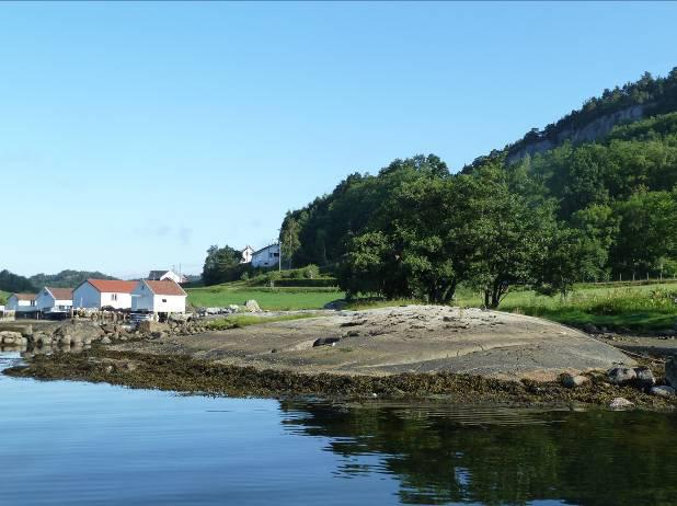 Figur 22. Til venstre: Oversiktbilde fra litoralsonen ved stasjon 1. Til høyre: Nærbilde av fjæreblod på stein, blæretang, strandsnegl og grønndusk. Foto: Mette Eilertsen. Tabell 21.