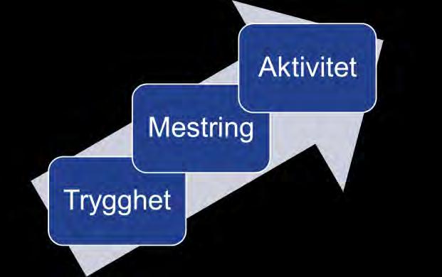 Velferdsteknologisatsingen i Oslo kommune Det handler om: Fra St.meld.