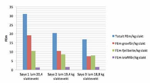 /år % av kostnad Grovfôr vedlikehald 0,95 226 215 72 % 2,35 505 63 % Produksjon Grovfôr holdoppbygging 0,2 154 31 2,35 73 Kraftfôr holdoppbygging 0,1 154 15 4,18 63 Grovfôr lamming ekstra 0,3 16 5