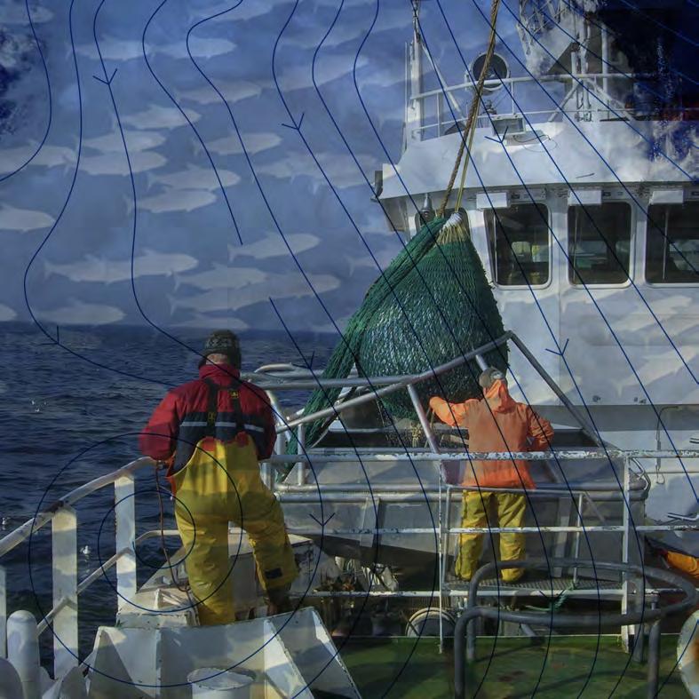 Fiskeriinteresser fagrapport til strategisk