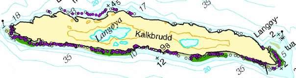 Figur 18. Registreringer gjort av sjøbunnen rundt Langøya i 213. De lilla sirklene er punkter hvor det er registrert ålegras. Tomme sirkler er punkter hvor det ikke ble registrert ålegras.