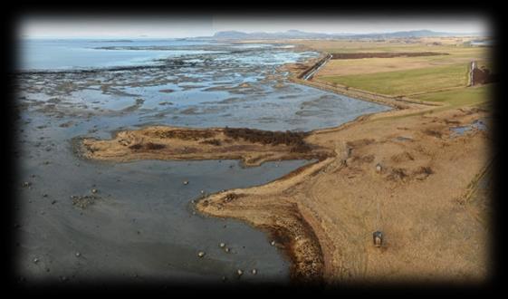 Naturlige habitater Saltvannsinntregning Økosystemtjenester Grunnvann Direkte påvirkninger Ferskvann Barrier to flooding Oversvømmelse Havnivåstigning vil føre til at fjæreområder som i dag er