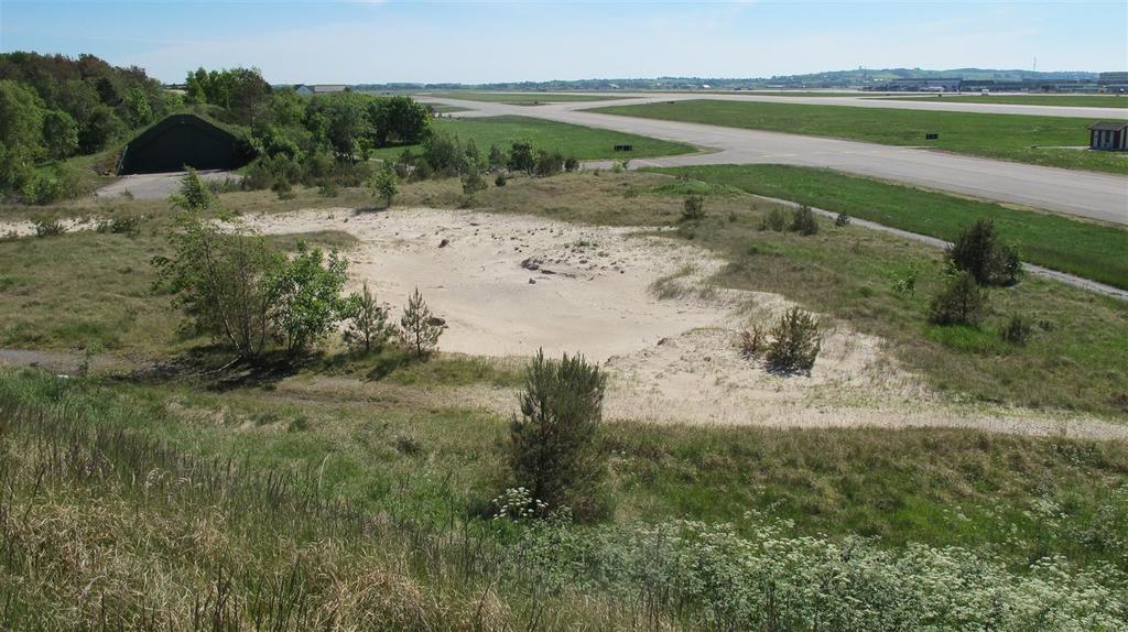 Figur 4. Naturtypelokalitet 4, foto mai 2014. Det er små endringer siden 2010. Naturtypelokalitet 4 (sanddyner) er et område med i underkant av 1 daa åpen sand.