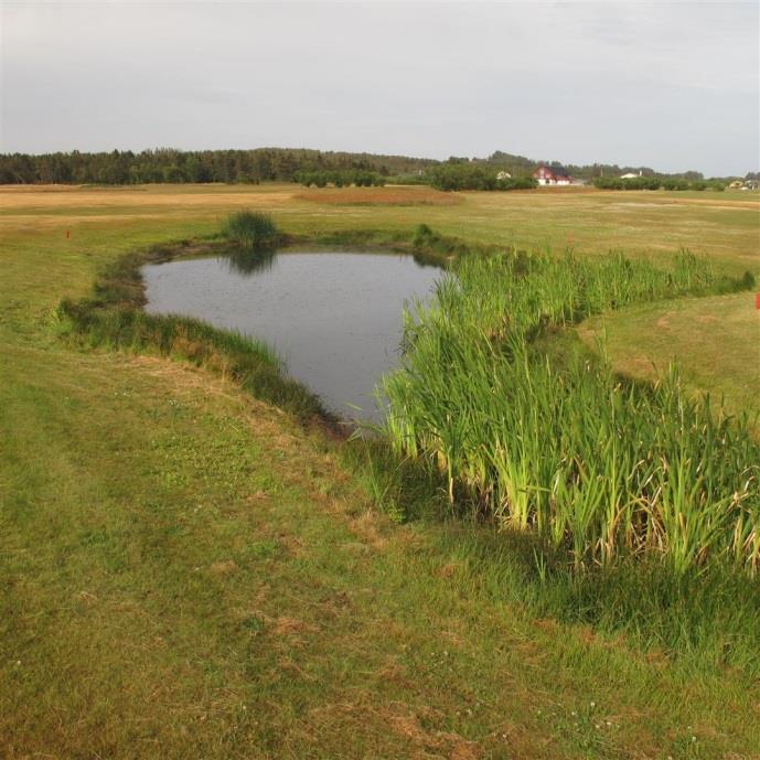 Eksempler på dammer på golfbane-området. Foto: Rune Solvang.