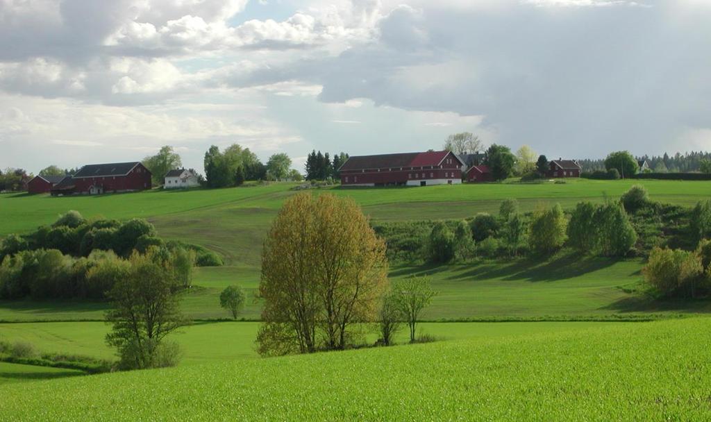 .. 4 Hydrotekniske tiltak... 4 Fangdammer... 5 Bygningstekniske tiltak... 5 Kulturlandskapstiltak.