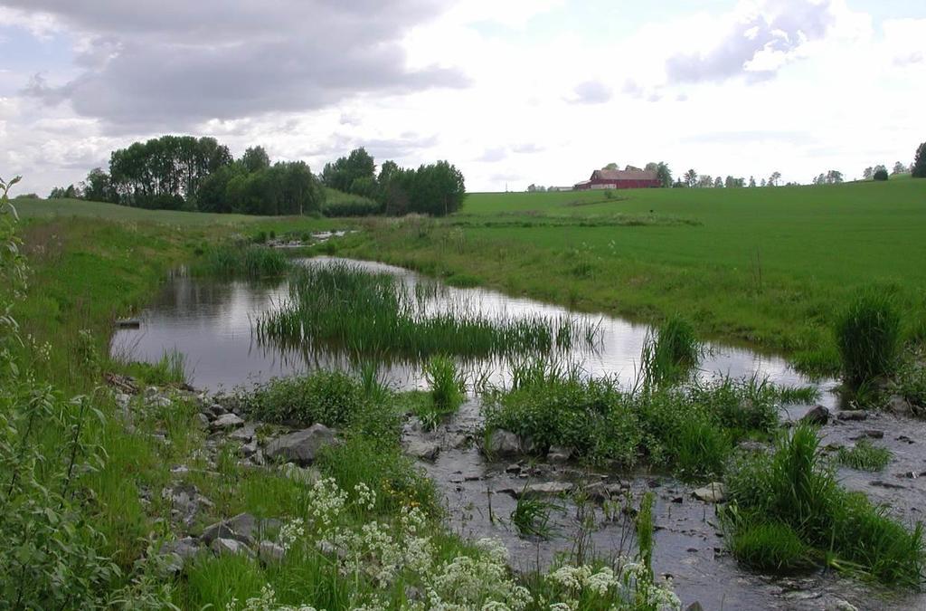 Fangdammer Inntil 70 % tilskudd av kostnadsoverslag Graving og etablering av selve fangdammen Tømming av sedimentasjonskammer og rensk av våtmarksfilter Fangdammer i jordbrukslandskapet er et