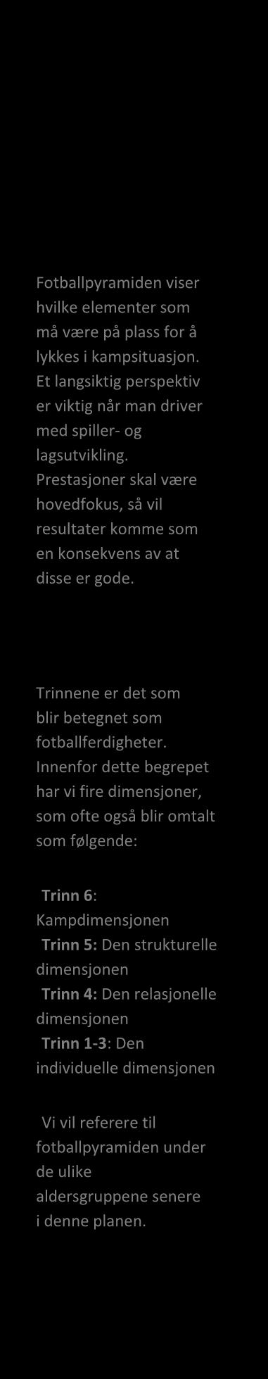 Den blå tråden: Spill - ikke spark Kjelsåspyramiden En fotballspiller skal besitte mange ulike ferdigheter. Hovedfokuset er å skape spillere og lag som spiller fotball og ikke sparker!