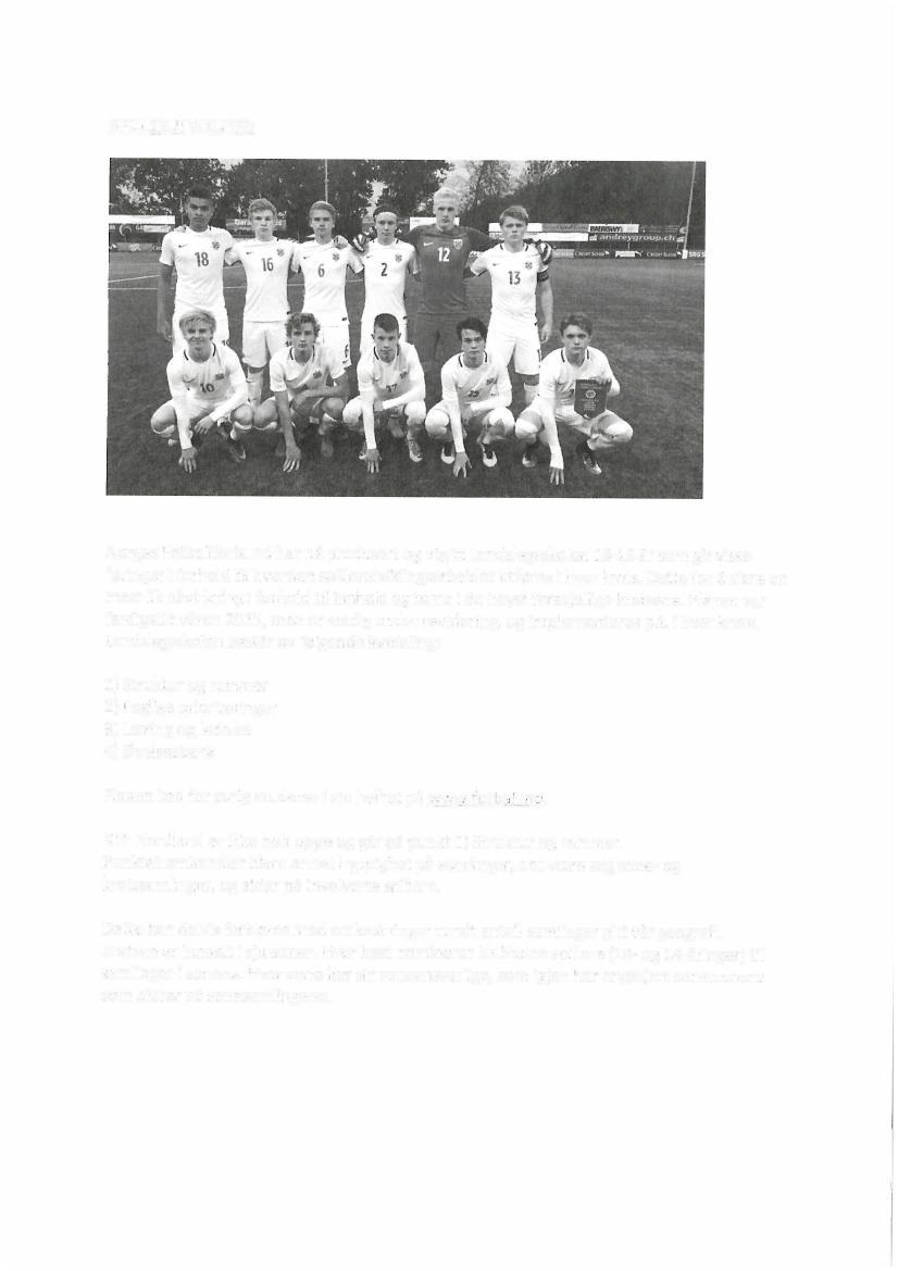 SPILLE RUT VI KLING: Norges Fotballforbund har nå produsert og utgitt Landslagsskolen 13-16 år som gir visse føringer i forhold til hvordan spillerutviklingsarbeidet utføres i hver