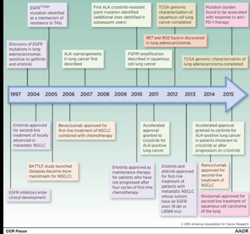 Høringssvar Vedrørende Vestre Vikens (VV) strategi 2035 Innspill til utvikling av fagområde onkologi Onkologi er et fag som opplever et paradigmeskifte.