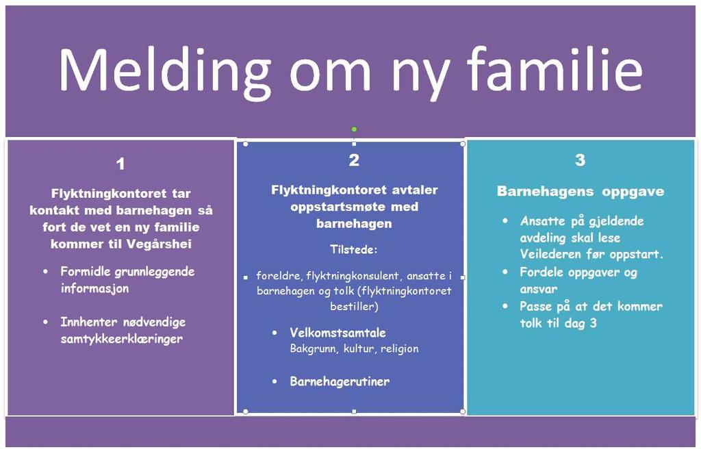 Tverrsektorielt samarbeid En tverrsektoriell handlingsplan er under utarbeidelse i samarbeid med viktige samarbeidspartnere.