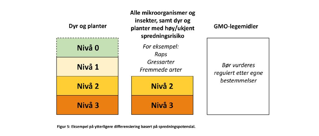8. ET NIVÅDELT GODKJENNINGSSYSTEM OGSÅ FOR UTSETTING AV GMO?