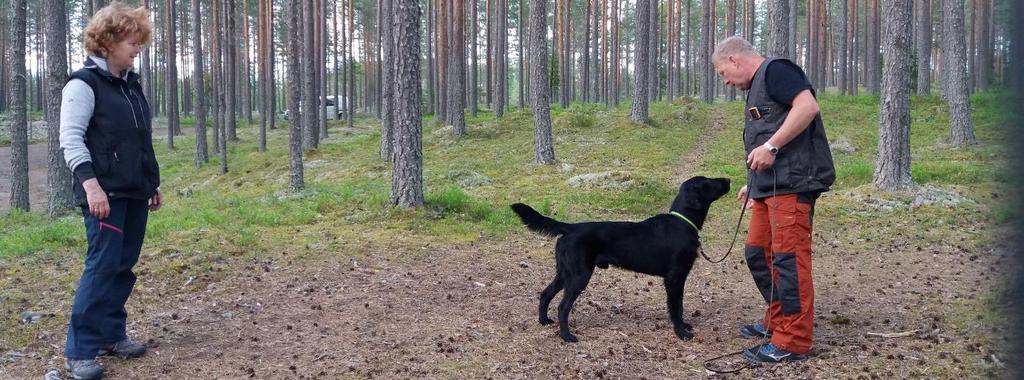 unntak av et opphold i juli (fellesferien). I tillegg er det gjennomført trening på dagtid, fra kl. 12.00 og utover på mandager.