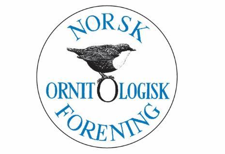 Steigen... 17 Hamarøy... 17 Ofoten... 17 Tysfjord... 17 Ballangen... 18 Narvik... 19 Evenes... 19 Tjeldsund... 19 Lødingen... 19 Lofoten... 20 Røst... 20 Værøy... 20 Moskenes... 20 Flakstad.