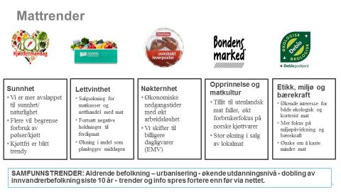 Figur 3-4 viser oversikt over de 5 megatrendene som påvirker forbrukerne nå. Figur 3-4 viser oversikt over hovedtrender.