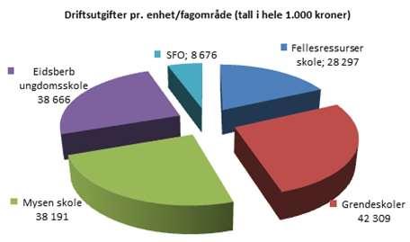 Virksomhet Skole Virksomhetens formål, organisering og omfang I kommuneplanen for Eidsberg er det nedfelt at Eidsberg kommune, som skoleeier, skal bidra til at barn og unge får en trygg oppvekst,