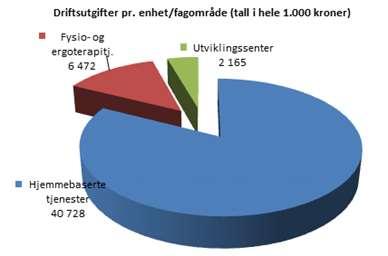 Virksomhet Hjemmebaserte tjenester Virksomhetens formål, organisering og omfang Overordnede målsettinger for de hjemmebaserte tjenester er forankret i kommuneplanen for Eidsberg og visjonen Rik på