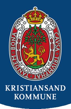 TEKNISK Kristiansand parkering Elbil ladning status og omfang