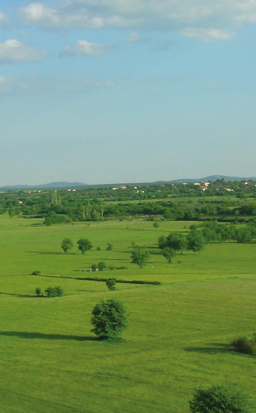 2012.-2014. PROGRAMRURALNOGRAZVOJA RURALNOG str. 4. Nadzorno povjerenstvo za izradu Programa Povjerenstvo je osnovano sa svrhom usuglašavanja koncepta i praćenje napretka izrade Programa.