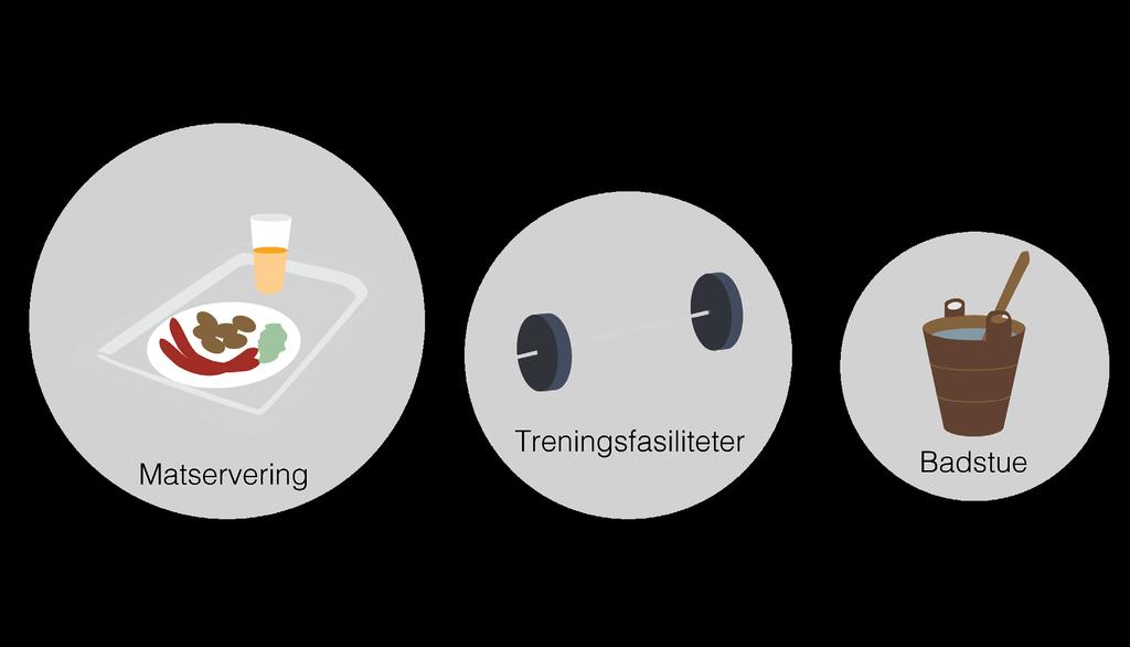 Hvilke tilbud og servicetjenester kunne du tenke deg i tilknytning til svømmehallen? Spørsmålet ble stilt åpent slik at respondentene selv kunne bestemme hva de ønsket å vektlegge.