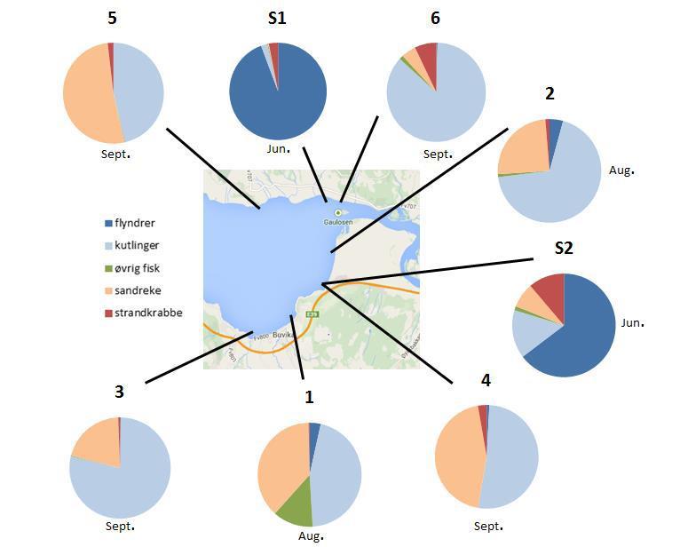 Figur 3: Relativ fordeling av fangst (individer) på ulike organismer på åtte stasjoner undersøkt i Gaulosen i juni-september 2014.
