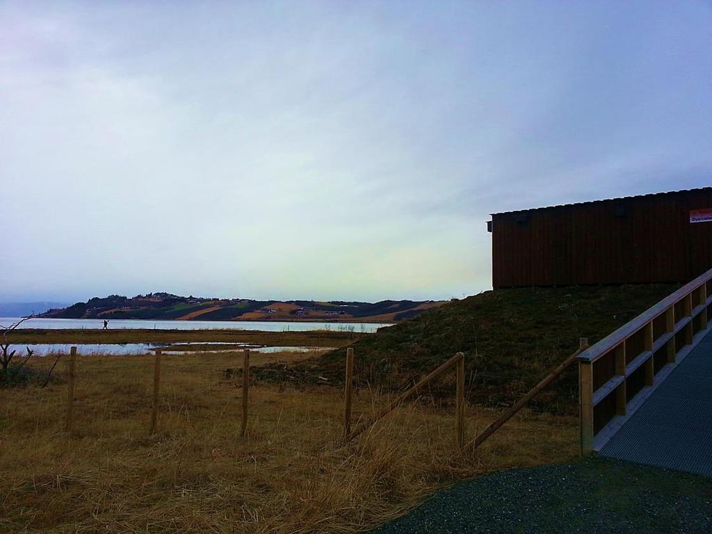 Bilde 11: Fugletårnet ved Gaulosen naturreservat på Øysand. Foto: Carina Ulsund I Skaun kommune brukes Buvikfjæra som badeplass om sommeren i tillegg til alminnelig friluftsliv.