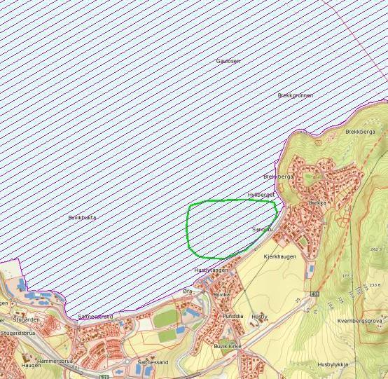 Naturtype Status Areal Stedfesting Kommentar daa Sea-pen and burrowing megafauna (sjøfjær) - -