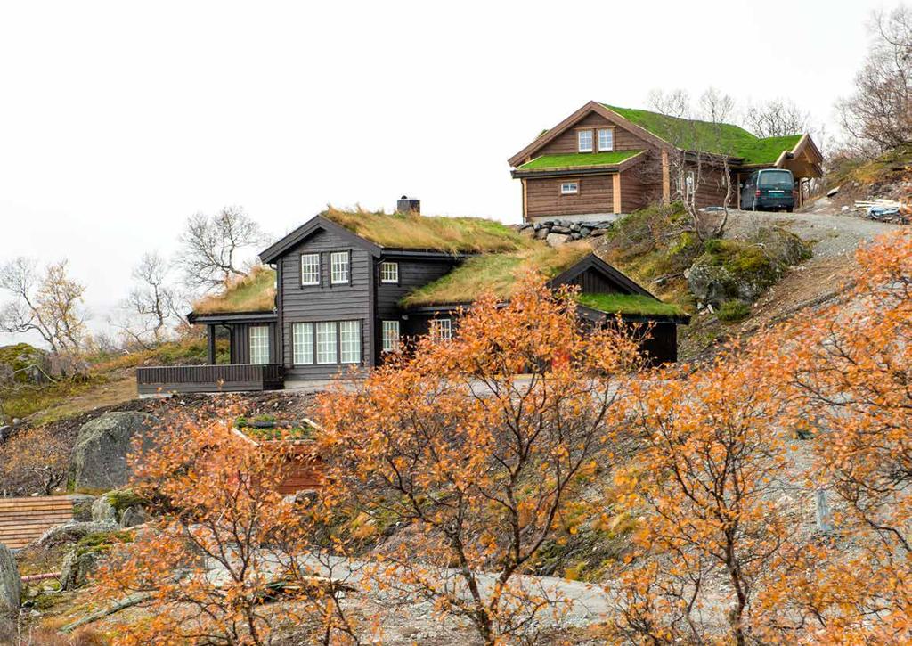 GODE SIRDAL-OPPLEVELSER Gravassryggen hyttefelt i Sirdal: Nordvest for Tjørhomfjellet, i