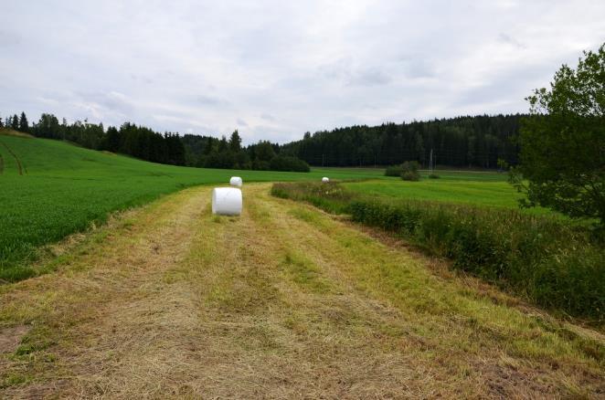 CO 2 -høsting i landskapet?