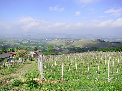 Enda en nydelig vintur for Econa Buskerud Piemonte denne gang av Erik A. Schyberg tekst og foto For andre år på rad har 16 glade vininteresserte vært på vintur i Italia i Econa Buskeruds regi.