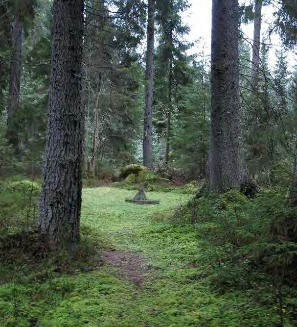 Falstadskogen Plan for forvaltning og