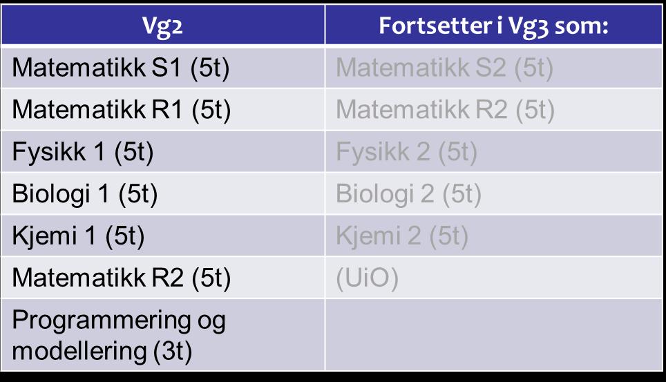 Realfag hva og hvorfor? 1. MESTRING Liker alle fag omtrent like godt, men mestrer slike fag godt og vil ha høyest mulig karaktersnitt/poengsum 2.