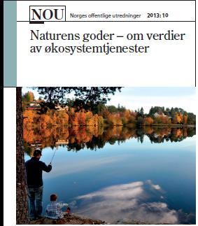 Økosystemtjenester Med økosystemtjenester menes alle goder og tjenester vi får fra naturen og som gir nytte til mennesker (jf. f.eks.