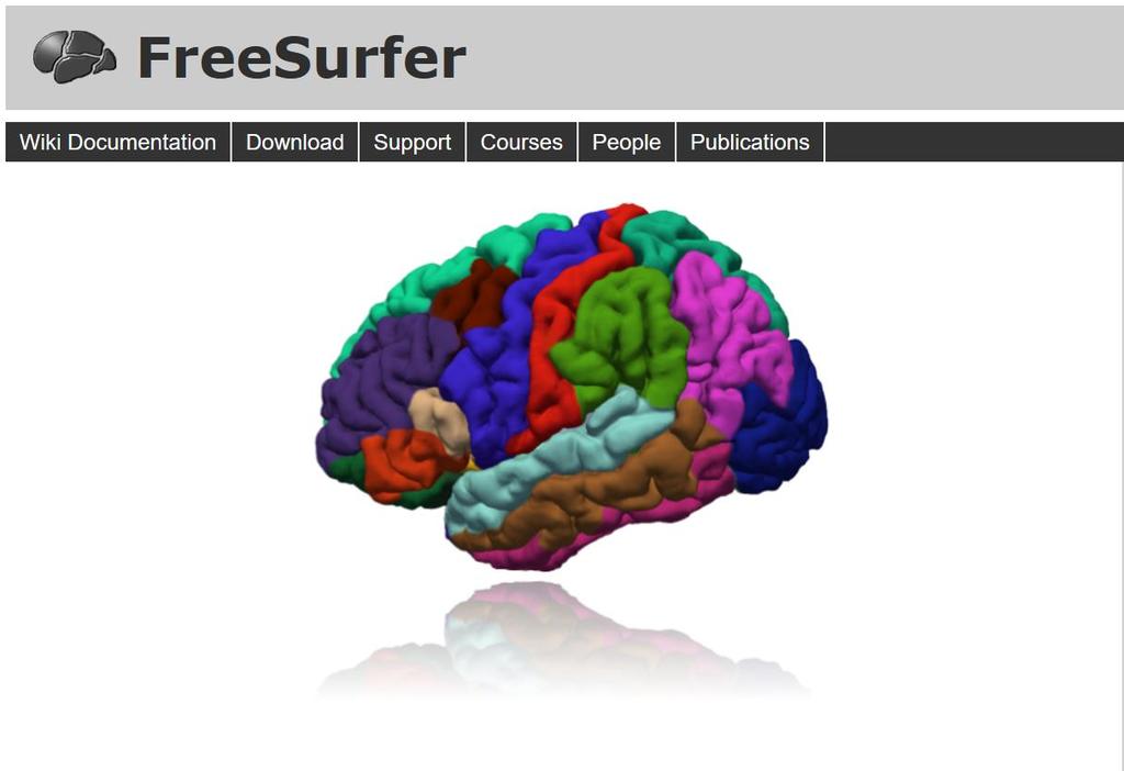 Dagens gullstandard for segmentering av hjerner: An open source software suite for processing and analyzing (human) brain MRI images.